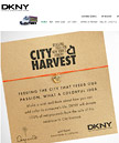 DKNY.com April 2008